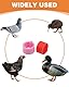 TPZORJX 50 Stück Geflügel Band,taubenringe,hühner ringe,Spiralring Vögel Fußringe Beinringe Beinbänder Klemmringe Identifikation Fußring zum Markierung für Vogel, Papagei, Taube, Wachtel, Küken