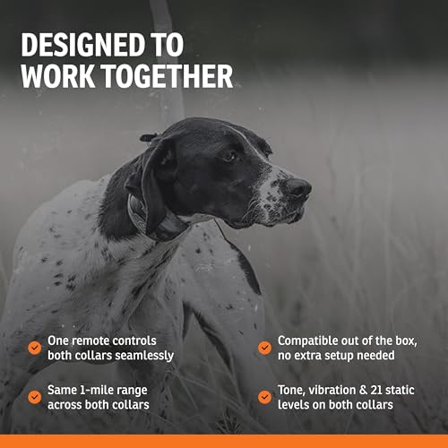 Image of SportDOG SportHunter 1825X 2-Dog Remote Trainer, 1-Mile Range | Built for Long-Range Upland & Multi-Dog Hunting, 21 Levels of Static Correction With Tone & Vibration, DryTek Waterproof