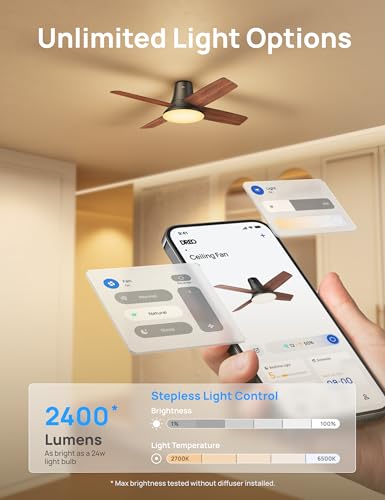 Image of DREO Ceiling Fans with Lights, 12 Speeds & 3 Fan Modes, Quiet DC Motor, Low Profile Easy to Install, Flush Mount Smart Ceiling Fan with Dimmable LED, 12H Timer for Bedroom, Remote, Black, 44''