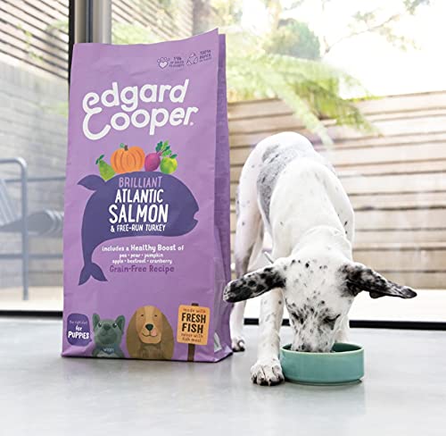 Edgard & Cooper Adult Droog Hondenvoer (Zalm 7kg), Hondenbrokken Volwassen Honden, Vers Vlees: Écht Voedzaam En Zonder Granen