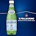 S.Pellegrino Sparkling Natural Mineral Water, Plastic Bottles, 16.9 Fl Oz (Pack of 12)