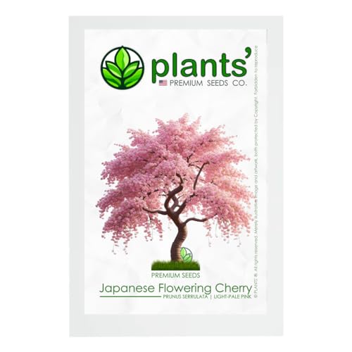 Japanese Flowering Cherry Tree | Premium Seeds | Prunus serrulata 'Spring' | Pink Bloom | Plants'® (Premium Seeds, 20)