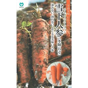 Amazon.co.jp: 丸種 雪下人参 （冬輝五寸） : DIY・工具・ガーデン