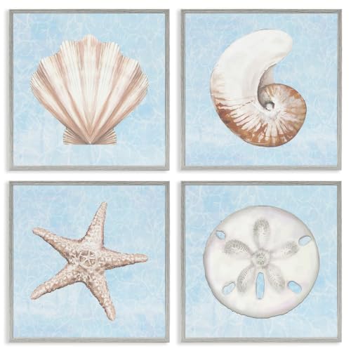 'Water Patterned Sea Life Shells'| 4pc Framed Giclee Set