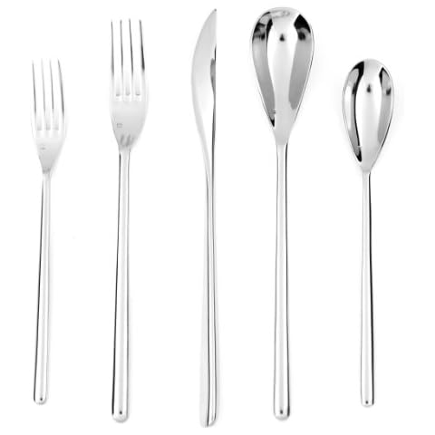 Fortessa Dragonfly 18/10 Stainless Steel 20-Piece Flatware Set, Service for 4 Cover