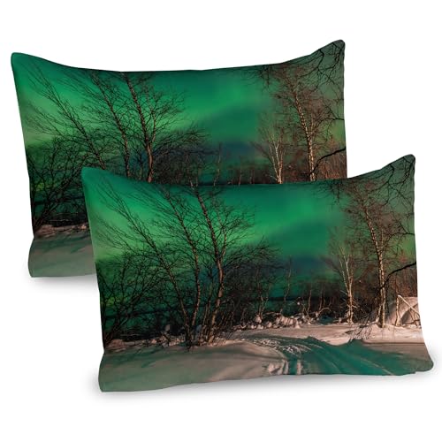 Ambesonne Aurora Borealis Pillow Sham Set of 2, Snowy Frozen Road Path Between Leafless Trees Finland Park, Quality Microfiber Bedding Item for All Seasons, 30