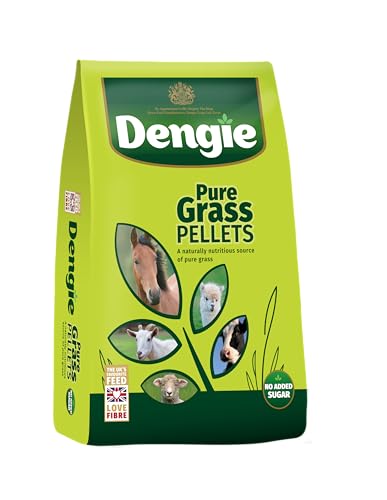 Dengie Pure Grass Pellets Great Value 20kg Bag - Suitable for Horses, Sheep, Goats & Camelids - Feed in Bucket, Soak to Mash or Forage & Hay Replacer