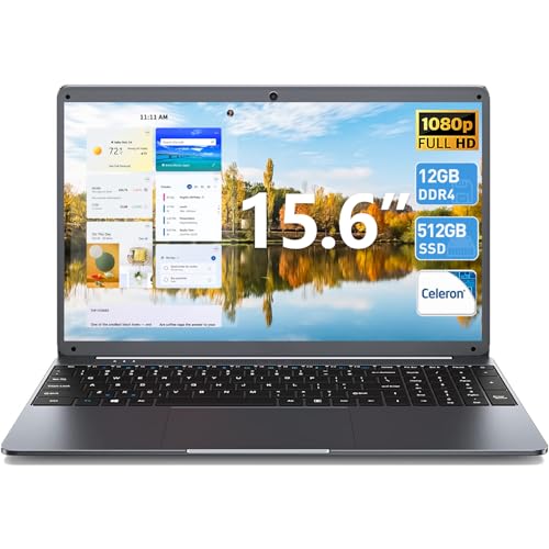 SGIN Laptop Computer, 15.6 Inch Laptops with 12GB RAM 512GB SSD, Celeron N5095 Quad-Core(Up to 2.8GHz), 15.6