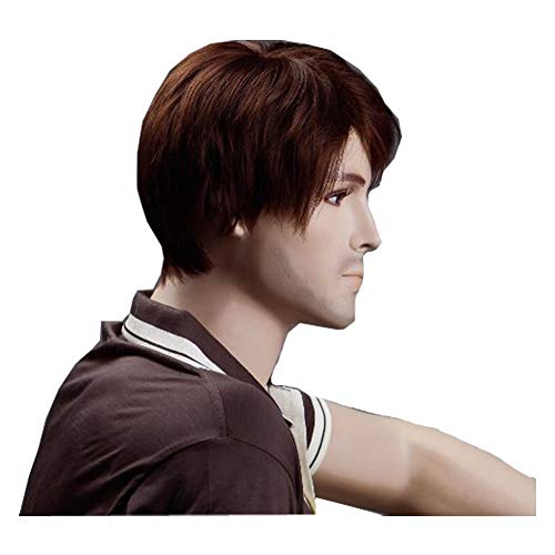 Image of Tressedup Hair Male Synthetic Short Wigs brown natural brown