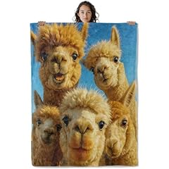 Llama30
