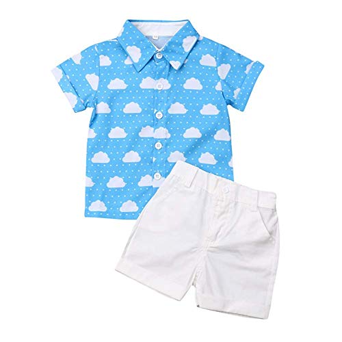 VISGOGO Toddler Baby Boy Flamingo Short Sleeve Button Down Shirt & Casual Shorts Set Summer Outfits 1-6 Years Clothes, Blue&white, 5-6 Years VISGOGO Toddler Baby Boy Flamingo Short Sleeve Button Down Shirt & Casual Shorts Set Summer Outfits 1-6 Years Clothes, Blue&white, 5-6 Years