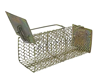 ZL Enterprises Small Iron Rat Trap/Rodent cage/Mouse Control Golden 1 Piece (20.50 cms X 8 cms X 7.5 cms)-image-24
