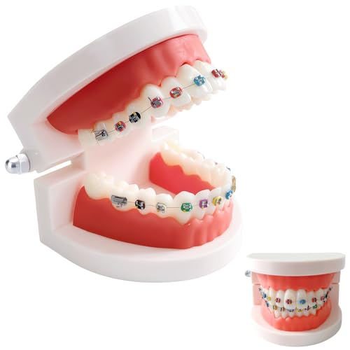 Image of 1 Pack Dental Orthodontic Teeth Model with Colorful Braces,Dental Training,Teaching,Practice,Professional Denture Mouth Model Demonstration Study Tool for Dentistry and Orthodontists