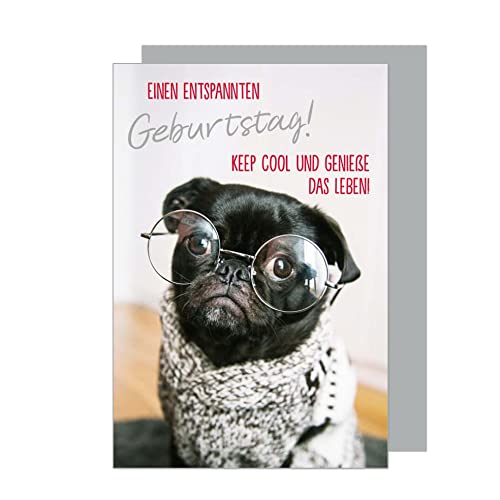 Hunde mit Brille Die 15 besten Produkte im Vergleich