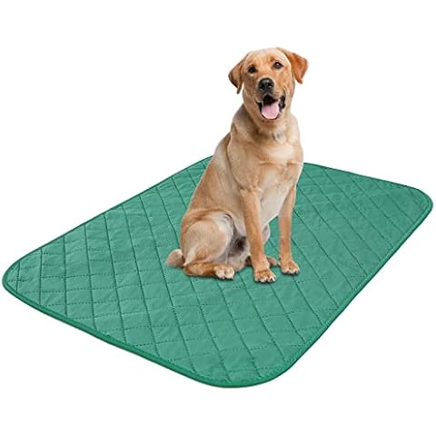 MOLEDINO Washable Training Pee Pad for Dog Puppy Pet 24” x 40”, Reusable Pee Mat Leak Proof Dog Whelping Pad Quick Dry Absorbent Dog Mat for Crate Playpen (1 Pack Green) Cover