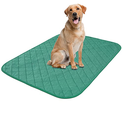 MOLEDINO Waschbares Trainings-Pinkelkissen für Hunde, Welpen, Haustiere, 61x101.6 cm, wiederverwendbare Urini-Matte, auslaufsicher, Hundematte für Kisten-Laufstall (1 Packung, grün) Cover