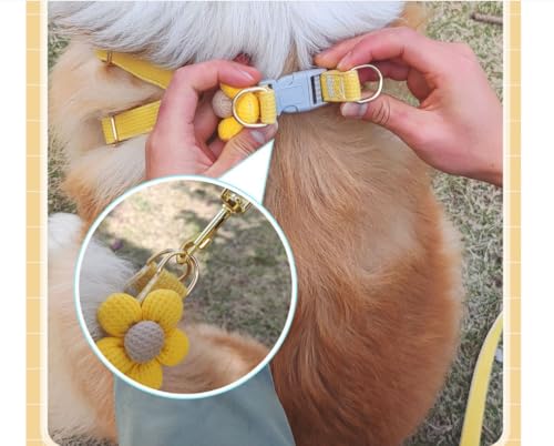 feiling Hundegeschirr Blumen Design mit 1.5m Hundeleine Verstellbare Brustgeschirre Weichem Katzengeschirr Haustier Softgeschirr für Kleine Mittlere Hunde (pink, S)