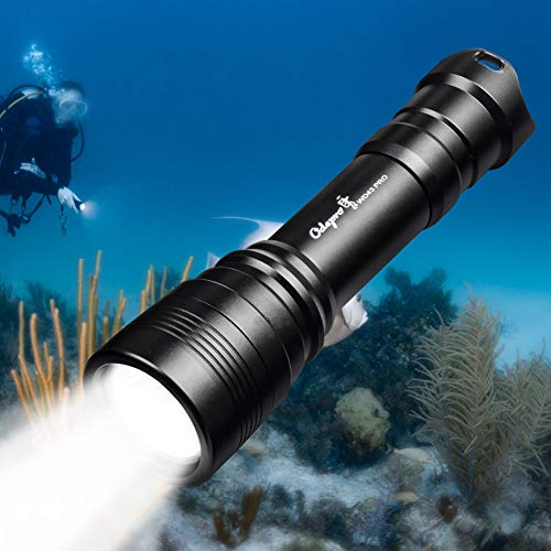 Odepro WD43 PRO Diving Flashlight 1050 lumens Waterproof Underwater 200M Tail Magnetic Switch Scuba Diving Four Modes Underlight Torch, Diving Backup Light, Durable Tool Box Package
