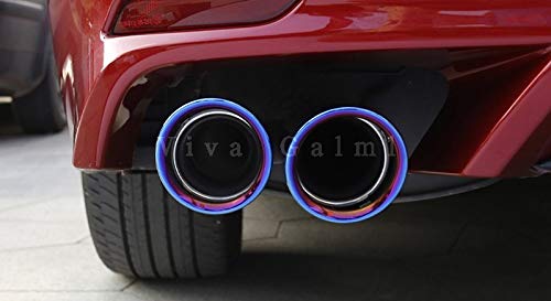 Amazon | viva galml カムリ スポーツ WS 70系 アクセサリー カスタム