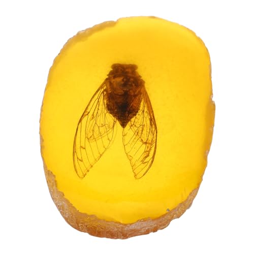 PRETYZOOM Insect Amber Pendant DIY Crafts Specimen Crafts Insect Amber Charms Insect Specimen Pendants Insect Amber Ornament Insect Amber Decor for DIY Insect Amber Decoration Specimen Amber