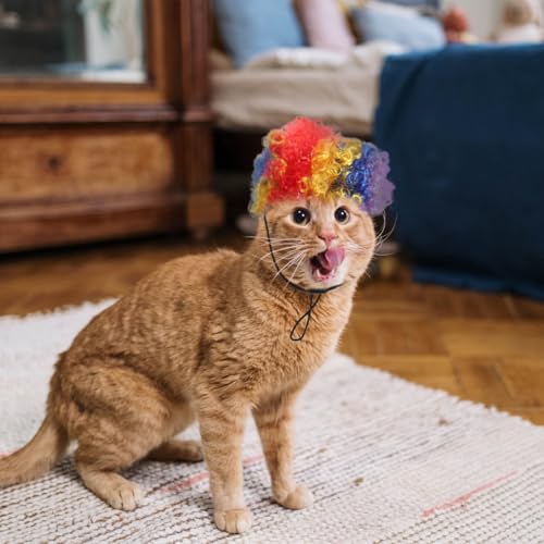 Peluca payaso ajustable para perro y gato POPETPOP miniatura 7