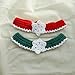 Crochet Handmade Xmas Snowflake Pet Collar for Cat Dog Rabbit Necklace Gift (Medium, Green)