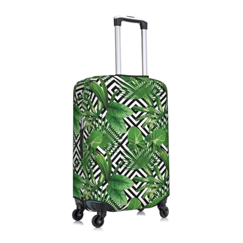 Recopilación y reviews de Planta hoja elegante para comprar online. 41 Imagen adicional