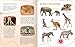 Mein großes Geräuschebuch – Tierbabys: Mit 43 Sounds | Hochwertiges Soundbuch mit realistischen Sounds für Kinder ab 24 Monaten