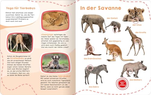 Mein großes Geräuschebuch – Tierbabys: Mit 43 Sounds | Hochwertiges Soundbuch mit realistischen Sounds für Kinder ab 24 Monaten