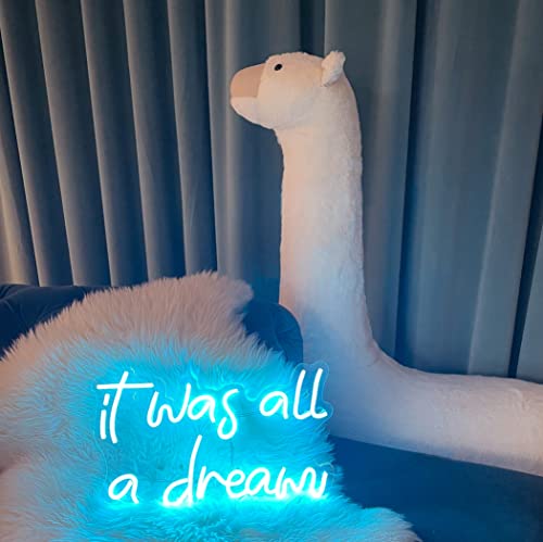 It Was All A Dream Neon Sign For Wall Decor， Powered By Usb Neon Light, Blue,15.75"X9.8"X0.6" #TOP3