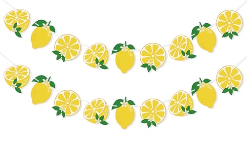 Image of Lemon Banner Garland Lemon Party Decorations for Birthday Shower | Lemonade Stand Supplies, Lemon Decor, Yellow Lemonade Party Decorations, Indoor Outdoor Summer Picnic Backdrop