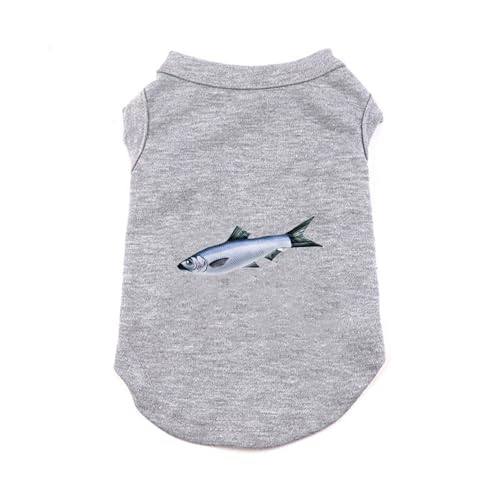 ZSDGBZ  ėp ⊴ TVc L ^  ʋC  ΍ p^Ngbv t Ă΍ 畆ی O[ X|[cEFA JWA Lk  o U