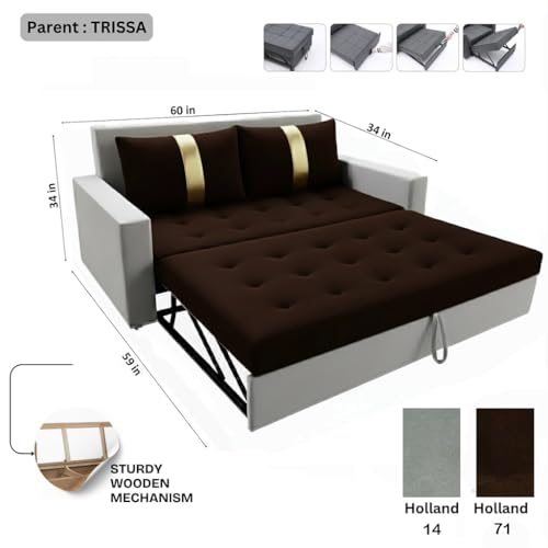Image of FURNY Tressa 2 Seater Fabric Pull-Out Sofa Cum Bed (Light Grey-Dark Brown) Premium Velvet Finish | Durable Comfort | Ideal for Living Room