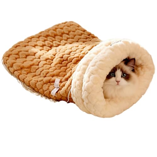 ~̔L̑^͑_E|PbgL̑Q܂̑g̑ybgpi (AbvO[h-uE,L)