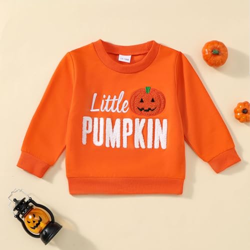 Toddler Girl Halloween Outfit Ghost/Pumpkin Sweatshirt+Embroidered Pattern Skirt 1-6Y4