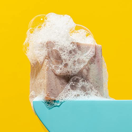 Ethique Sweet & Spicy - Volumizing Solid Shampoo Bar For Fine, Flat, Limp Hair - Vegan, Eco-Friendly, Plastic-Free, Cruelty-Free, 3.88 Oz (Pack Of 1) #TOP1