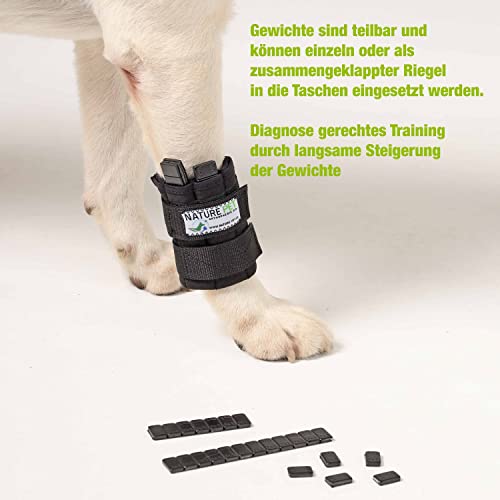 Nature Pet Hund Gewichtsmanschette & Therapiebandage – Muskelaufbau, Reha & Physiotherapie für Hunde | Wasserfest, verstellbar & für Unterwasserlaufband geeignet (XL)