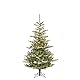 Black Box Trees Celtis Künstlicher Weihnachtsbaum mit LED-Beleuchtung – H185 x Ø112 cm – Grün mit Frostoptik