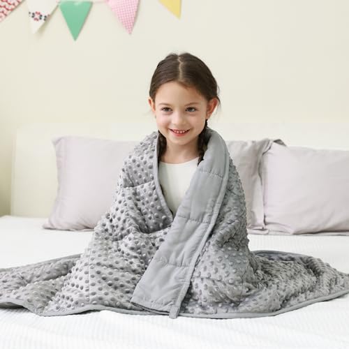Image of Mr. Sandman Weighted Blanket 7LBS 41 x 60 Inches, Minky Dots Heavy Blanket with Glass Beads, Soft and Cooling for School and Home, Grey