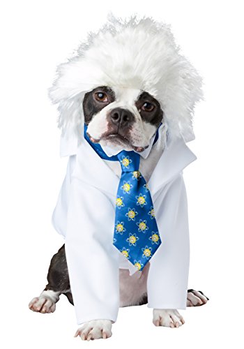 Calico, Scientist Dog Costume Small