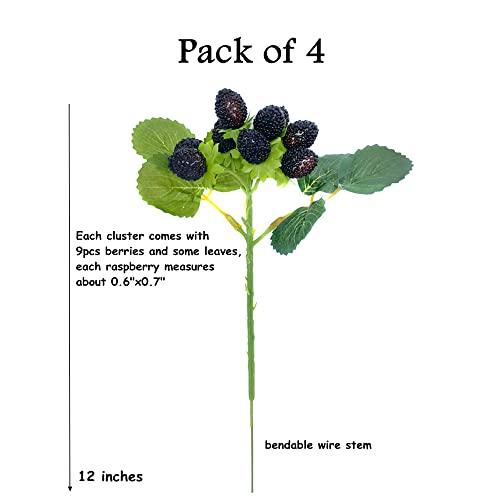 M2Cbridge 4Pcs Artificial Raspberry Red Berry Strawberry Faux Fruit Blackberry Props Table Decoration (Black) #TOP2