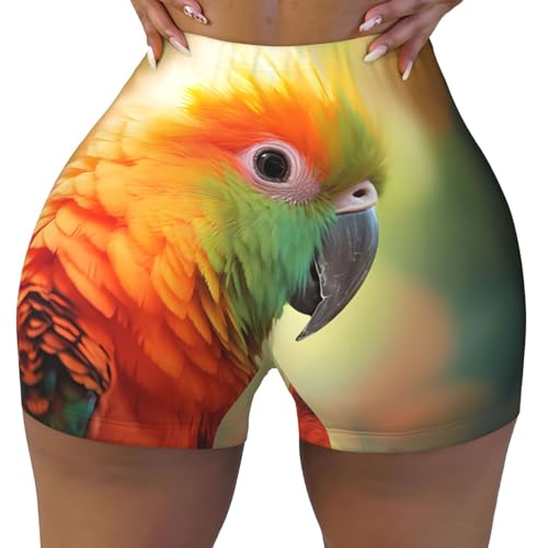 Parakeet Pattern Sports Shorts, high Elastic Slim Fitness Pants, Suitable for Yoga/Leisure/Daily wear