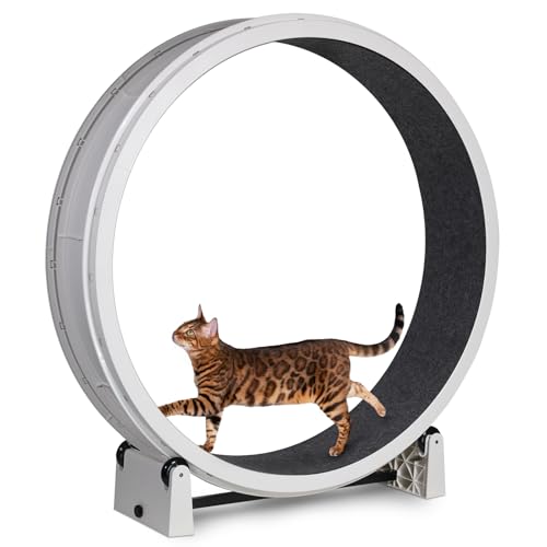 Image of One Fast Cat - Cat Exercise Wheel - Gen. 7 - Safe 48 inch Diameter - Made in The USA - White Wheel with Black Felt Traction Pads and Solid Black Inline Wheels