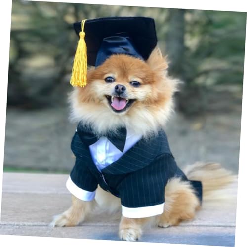 Set de gorro y corbata de graduación para perro tamaño L miniatura 3