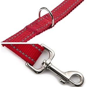 6ft Reflective Dog Leash for Largemedium and Small Dogs Strong and Durable Nylon Leashes for Walking and Training Heavy Duty 6 Foot Dog Leash with D Ring for Puppy red 58 Inch X 6ft  Cucciolini Doodles 6ft reflective dog leash for largemedium and small dogs strong and durable nylon leashes for walking and training heavy duty 6 foot dog leash with d ring for puppy red 58 inch x 6ft   cucciolini doodles