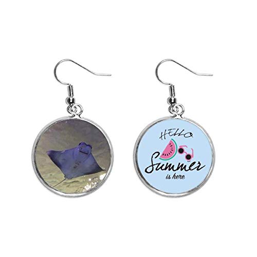 Pendientes de sandía ligeros para lóbulos sensibles en verano