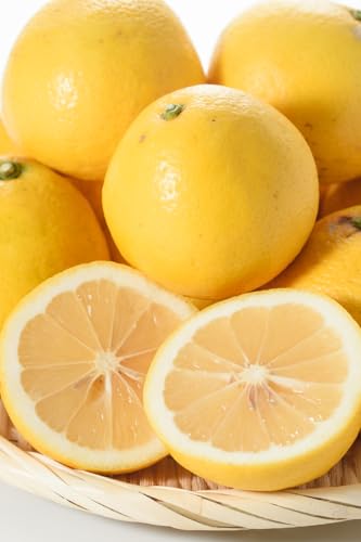 黒川農園 鹿児島県産 吹上小夏 4kg 日向夏 みかん 柑橘 [2026年3月下旬〜5月上旬の間に発送予定]