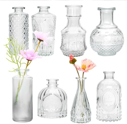 Brajttt Clear Flower Vase Set, Glass Bud Vase in Bulk Set of 8,Ar...