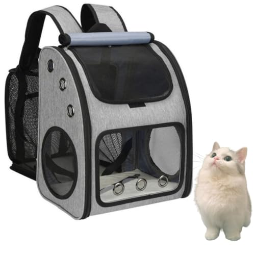 L/ bN ybg L[t L[obO bN/L [obO/L L[obO gybgL[ bN s  ЊQ ʉ@ oybg bN (O[)