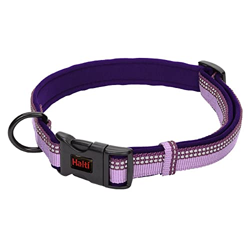 Collare Comfort HALTI - Cinghia regolabile con imbottitura in neoprene e tessuto 3M catarifrangente. Nylon di qualità. Leggero e ideale per cani di taglia media (Taglia M, Viola)